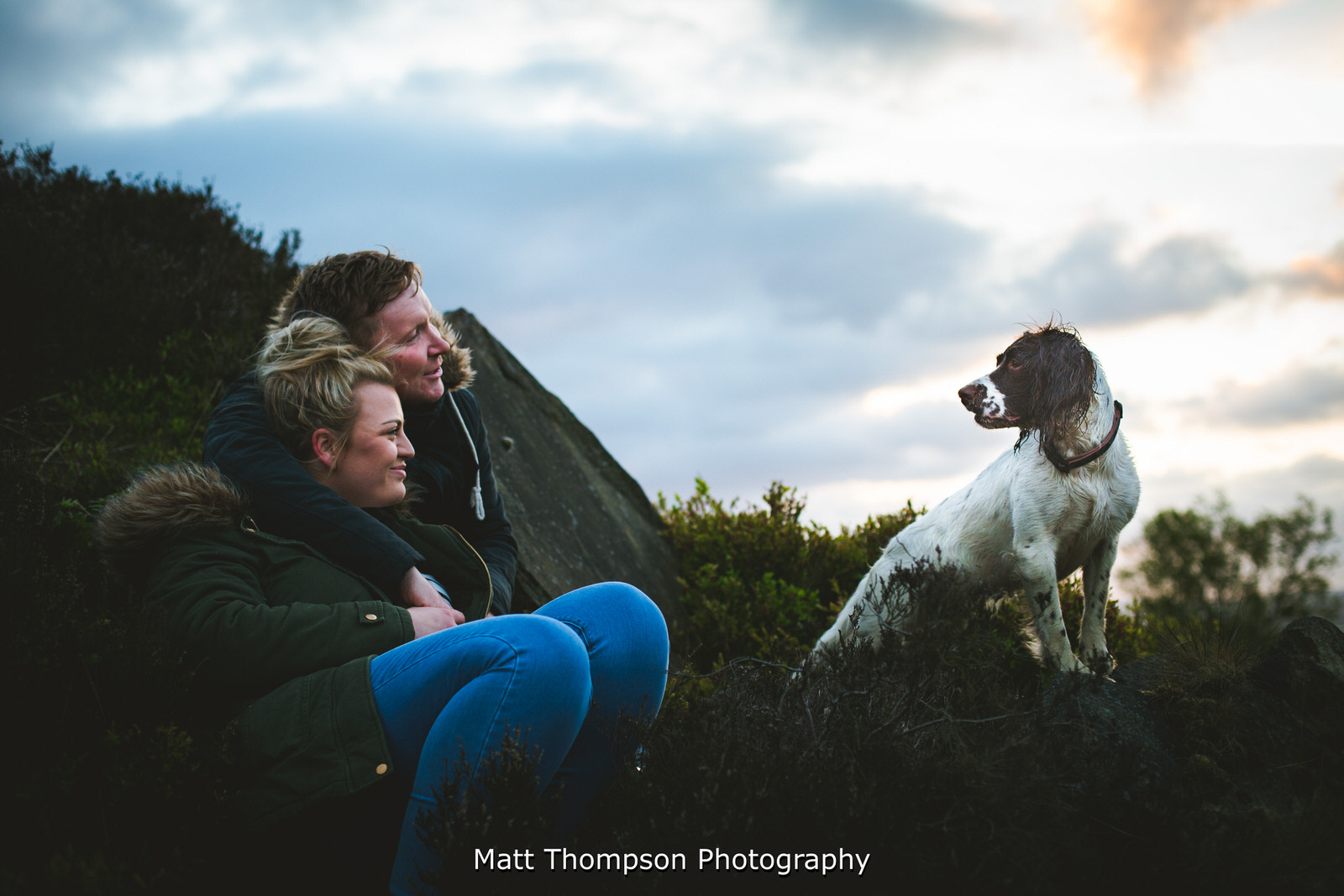 pre-wedding photoshoot with a dog