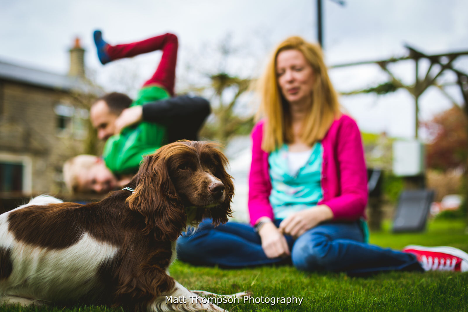 family engagement shoot with spring spaniel