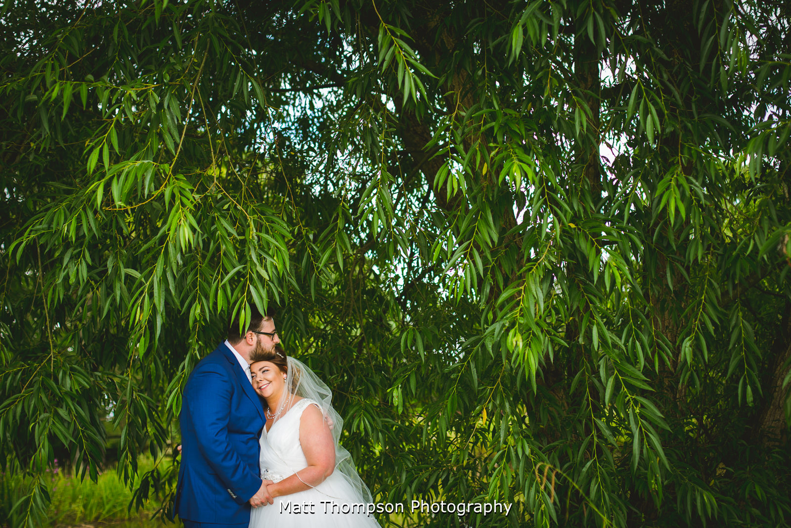 willow tree photo