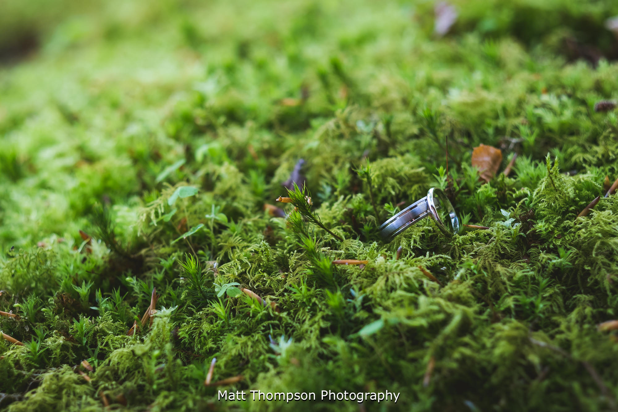 wedding rings at dalby forest
