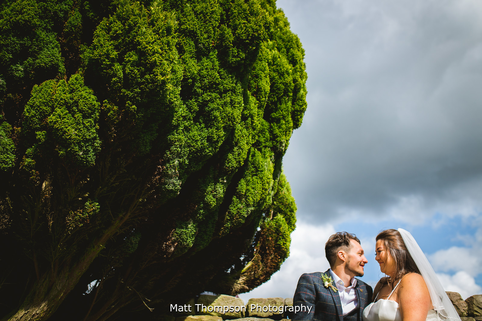 wedding portraits