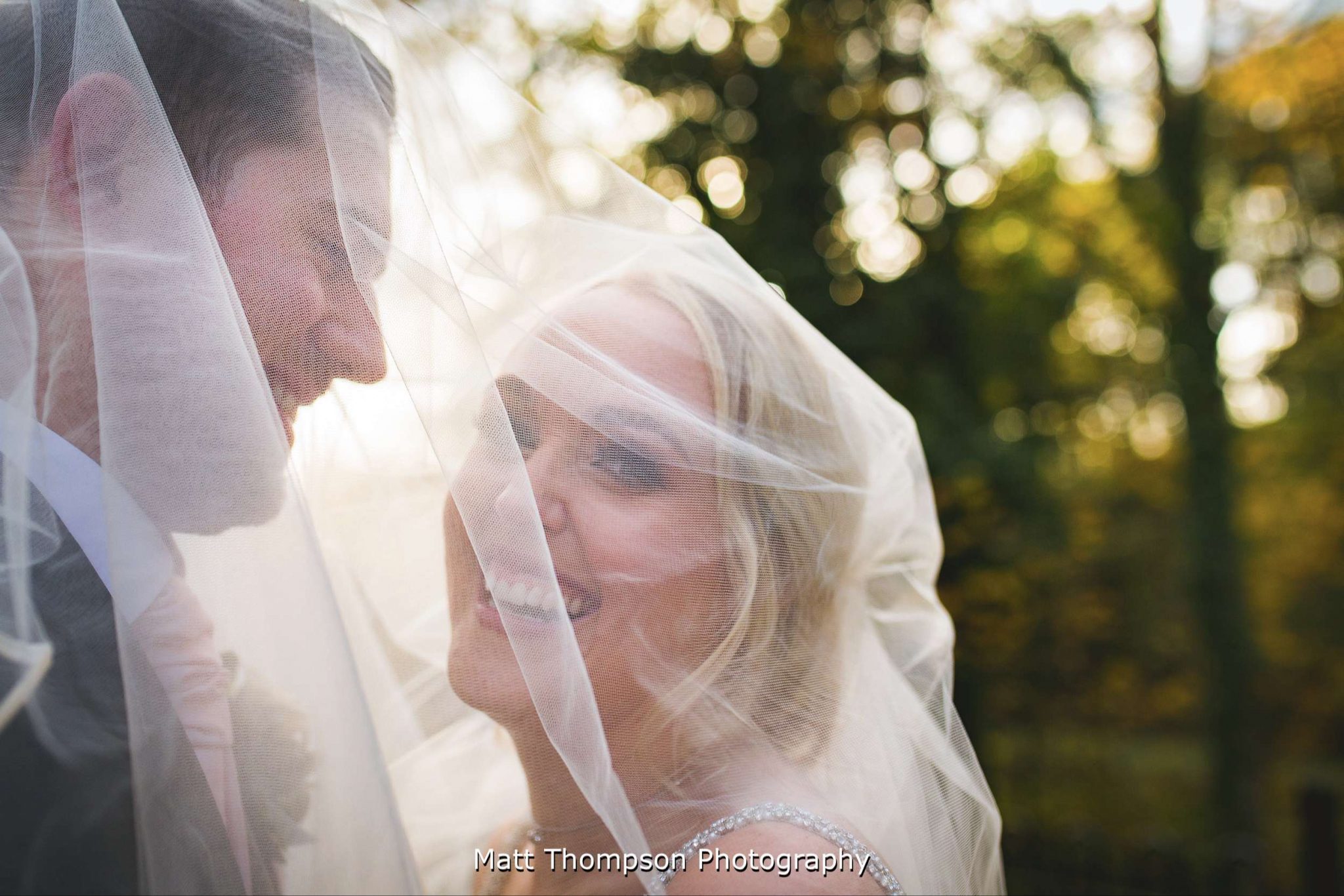 Wedding dress viel