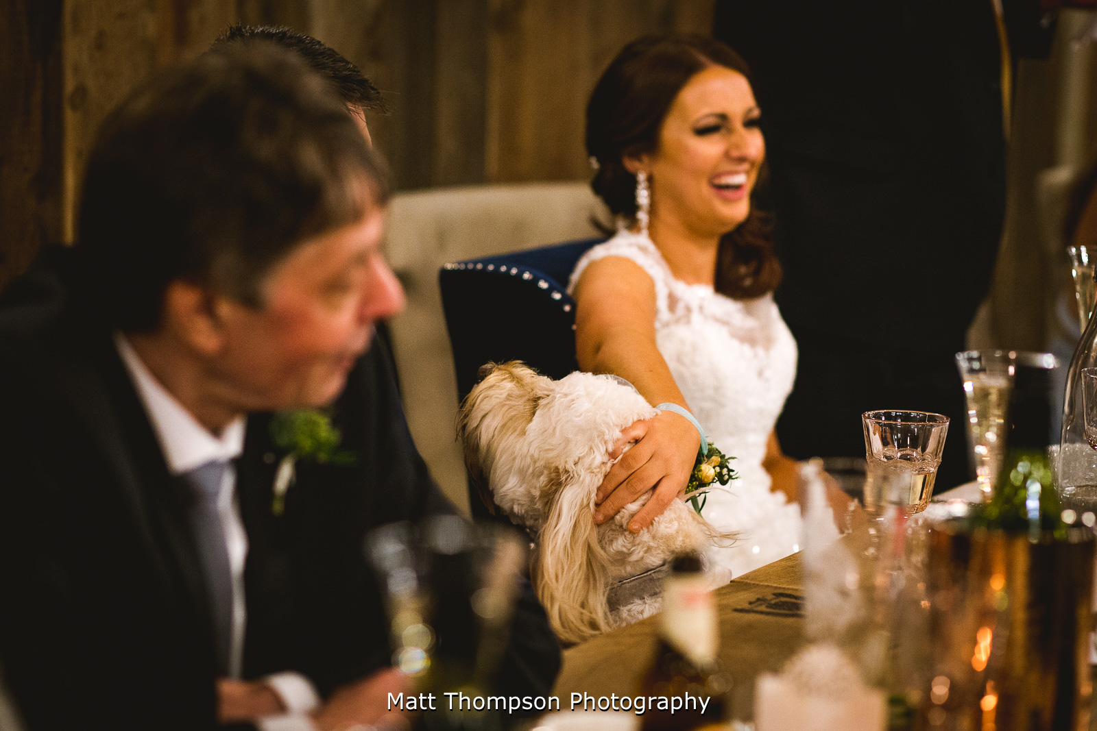 Wedding dog