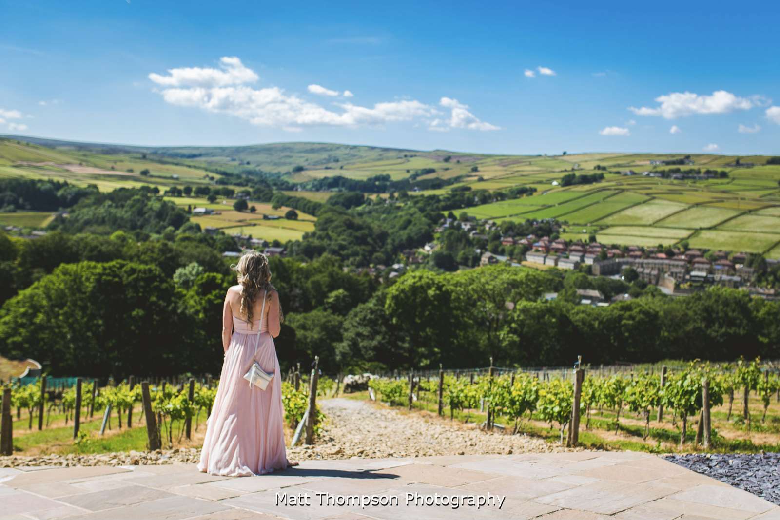 Looking out to the vineyard