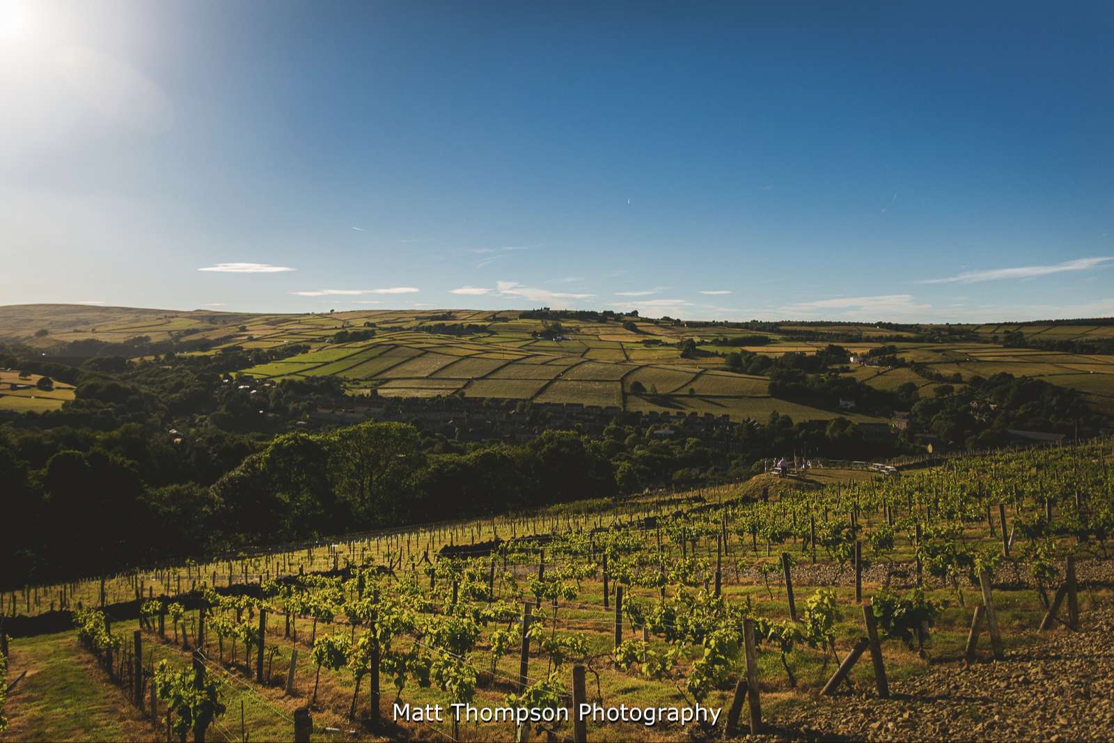 Holmfirth Vineyard views