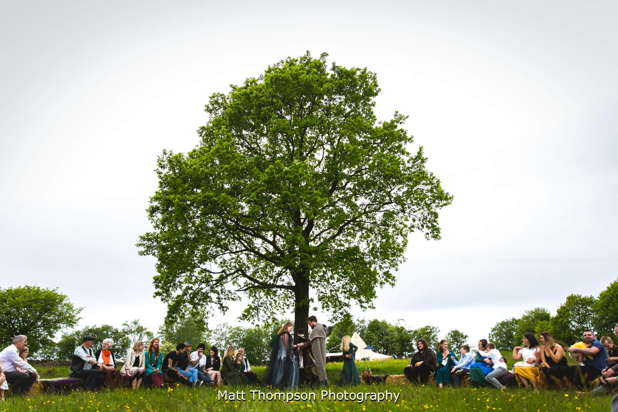 Tree looking over hand fasting