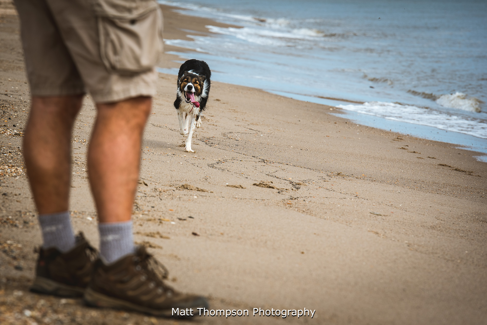 groom walking the dog