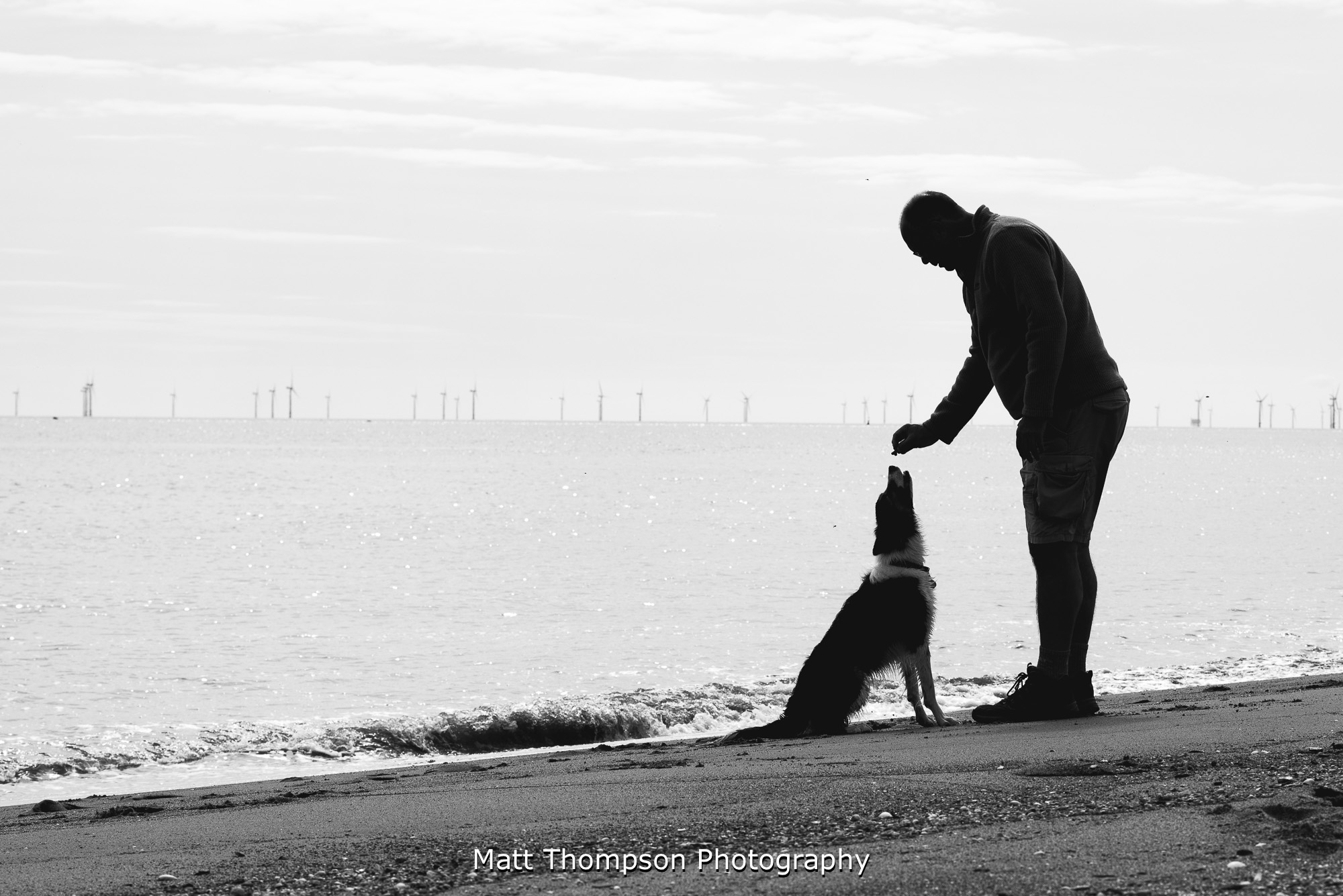 groom prep walking their dog