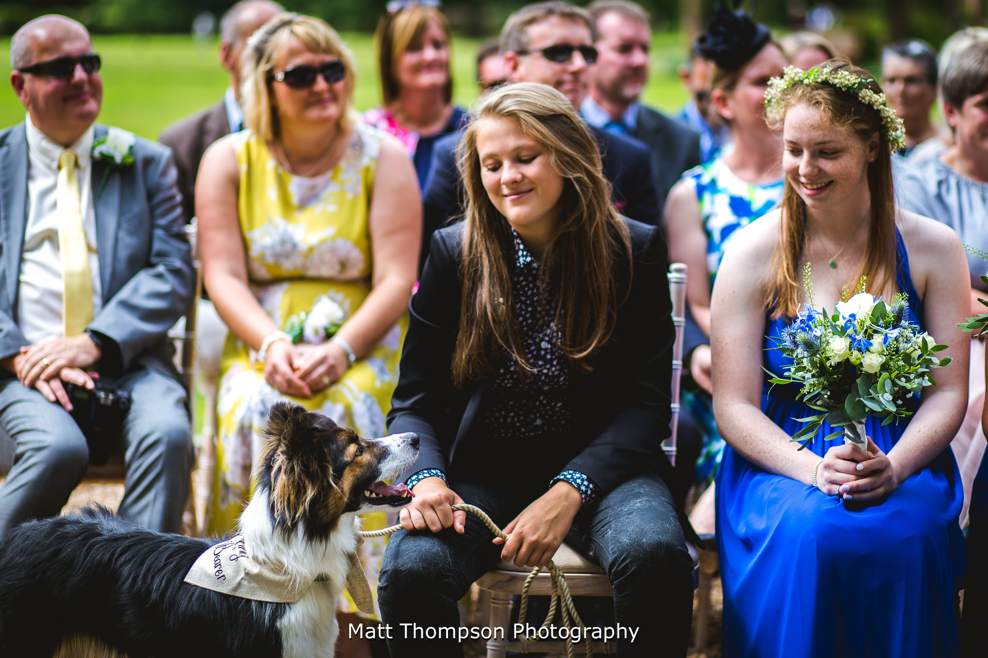 wedding dog