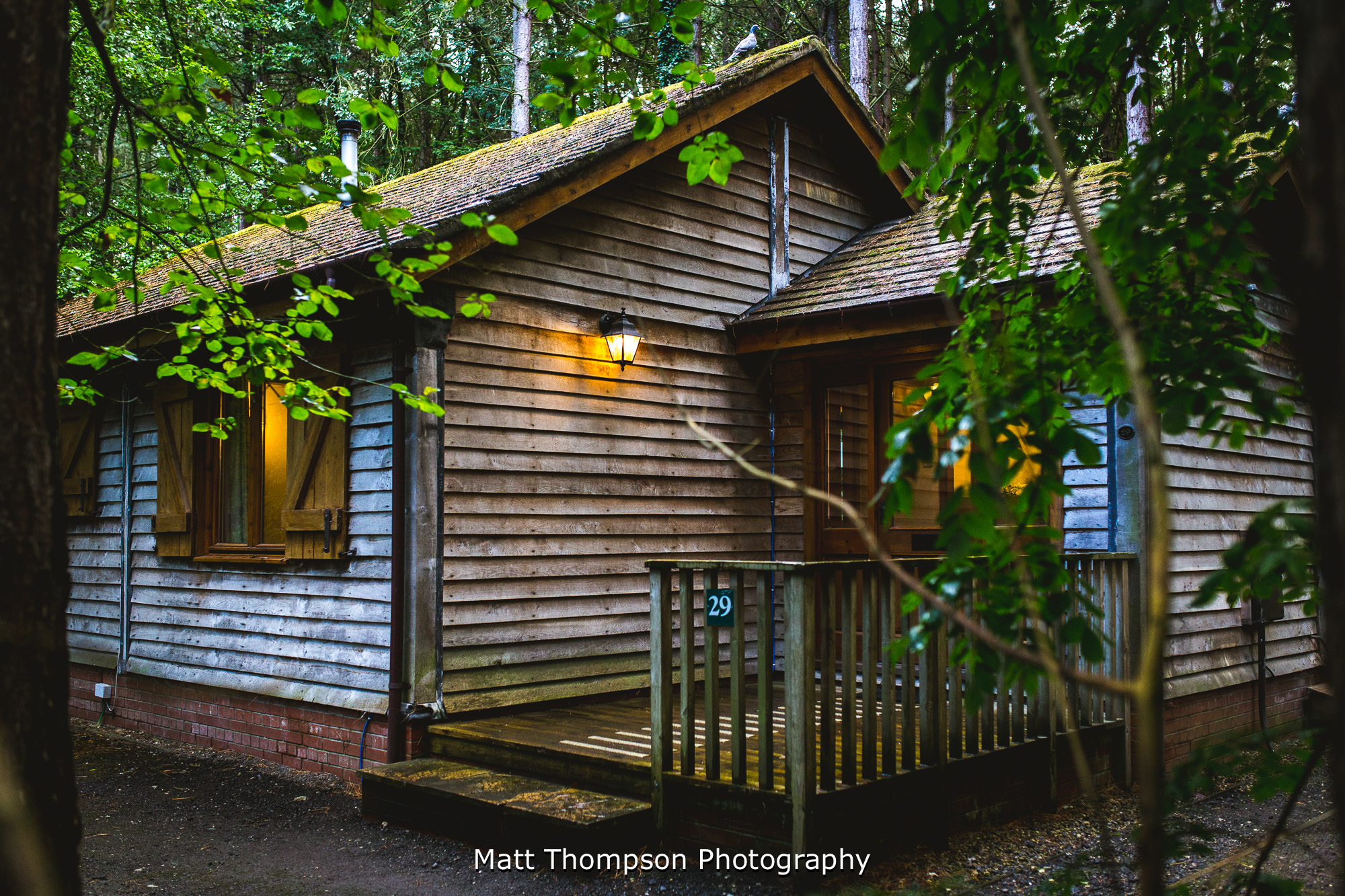 griffon forest holiday lodge