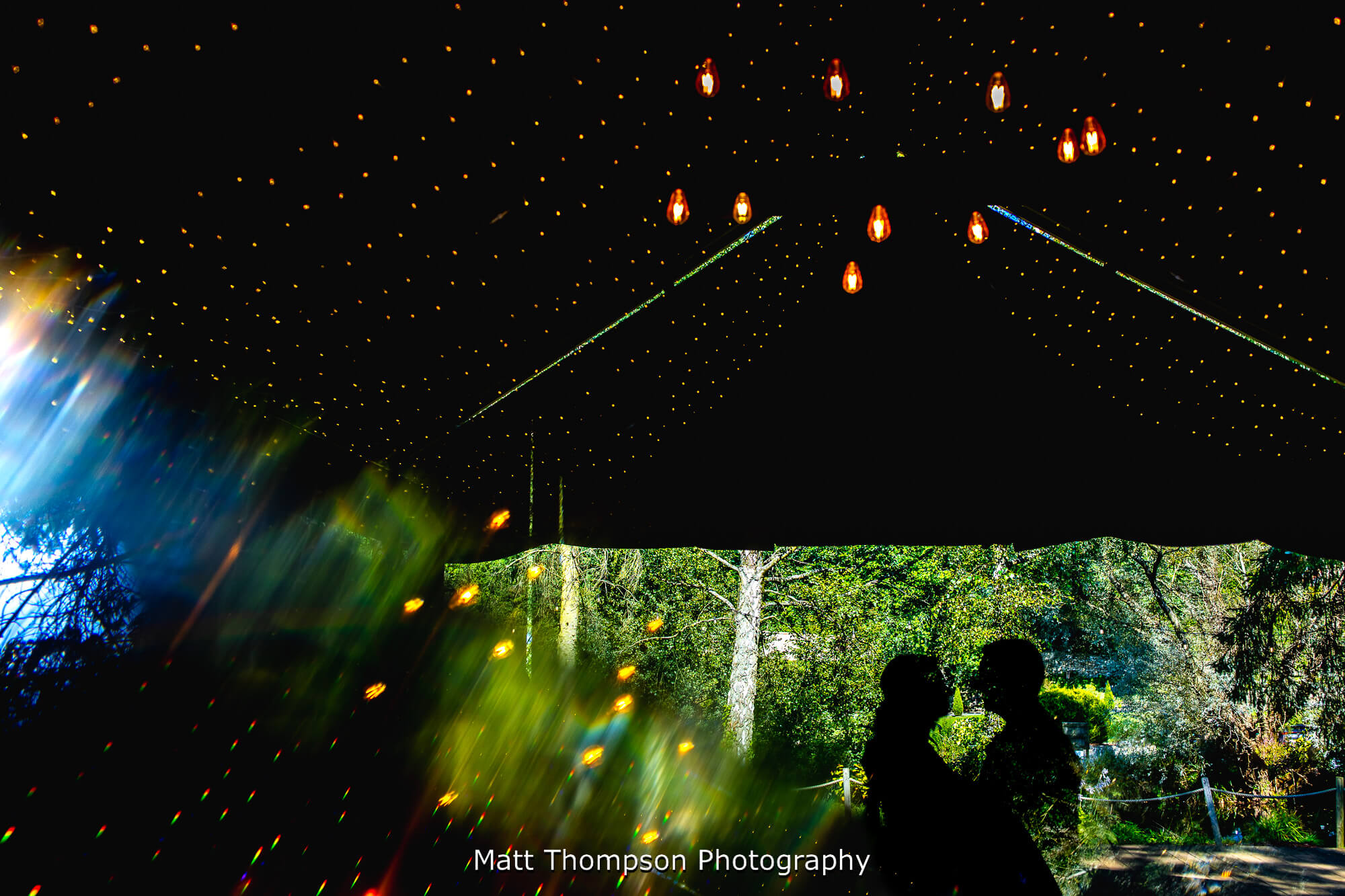 wedding portrait