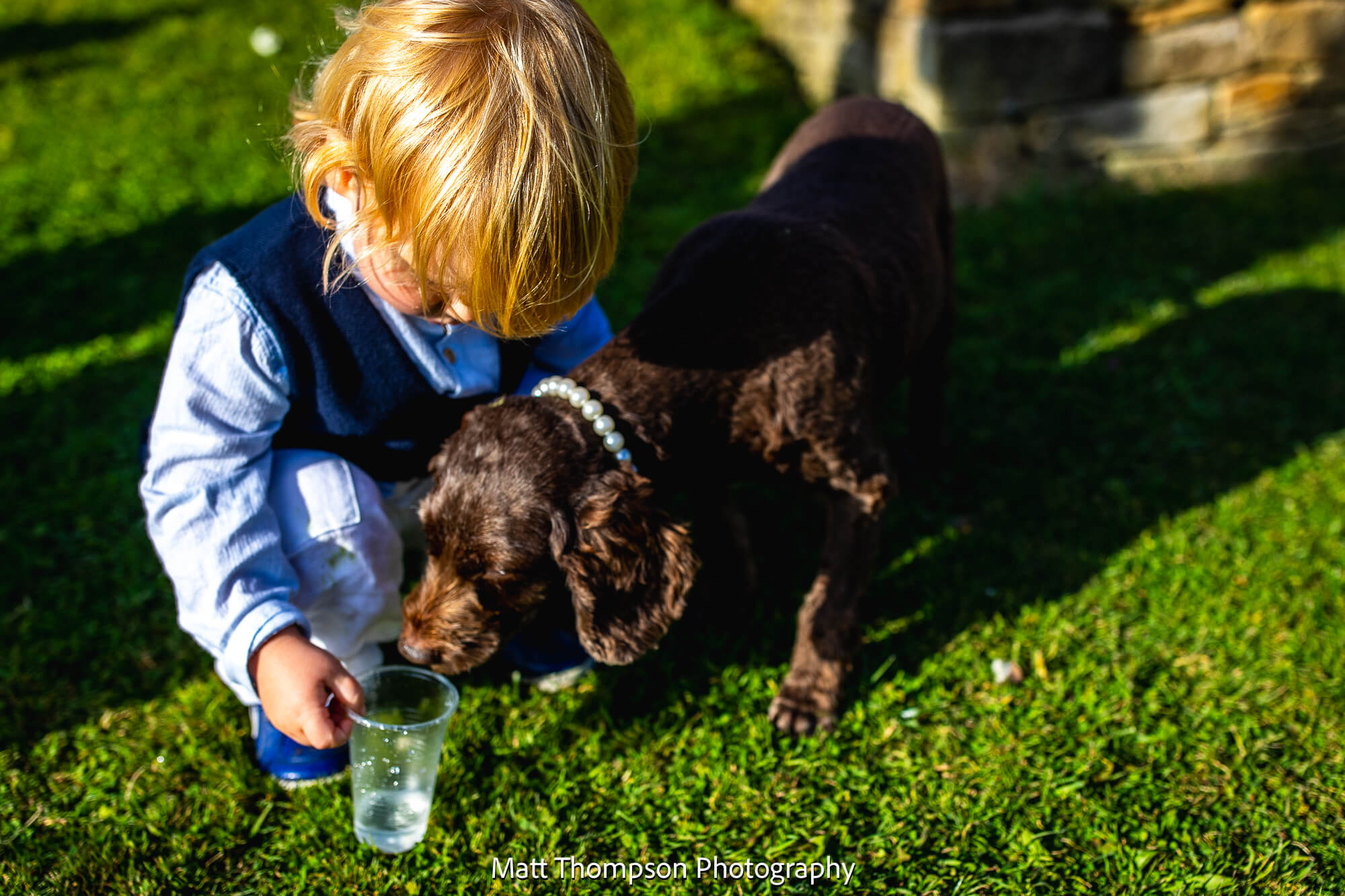 dog drinking