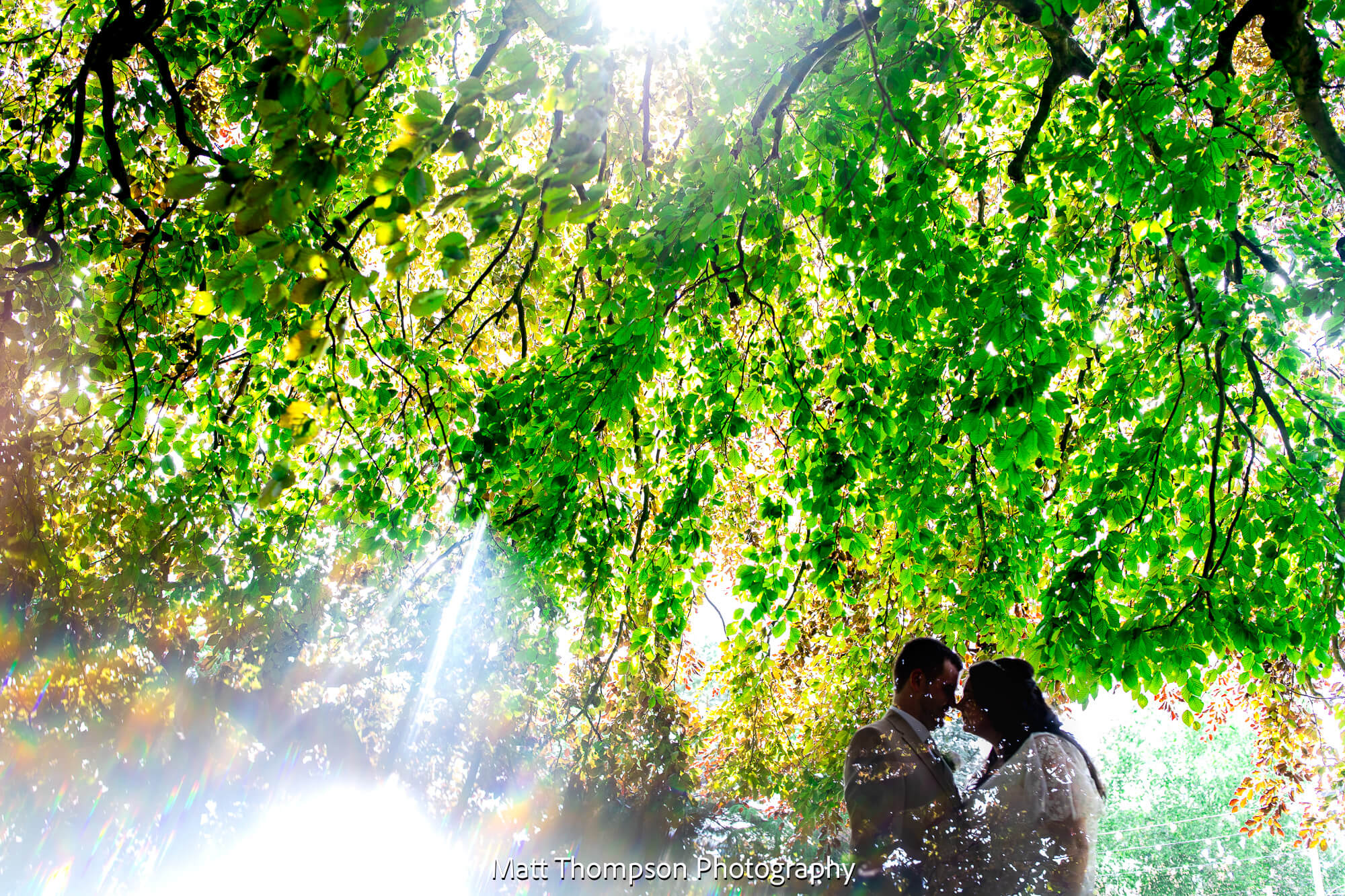 wedding potraits